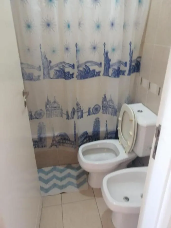 Peatonal Colonial Apartment Mendoza
