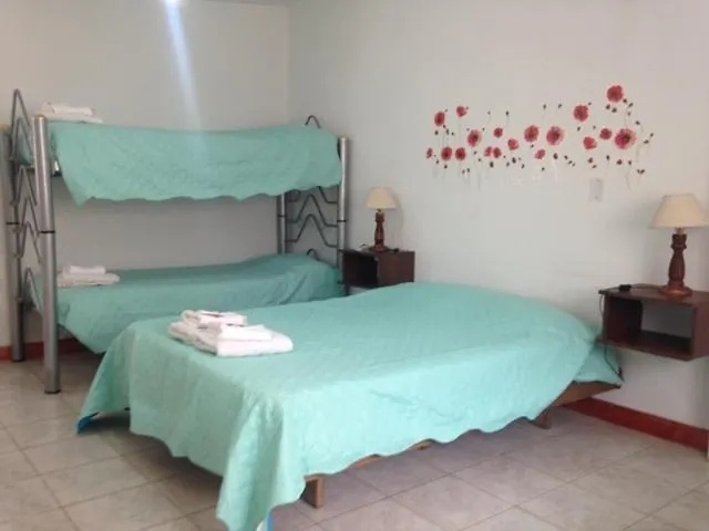 Peatonal Colonial Apartment Mendoza